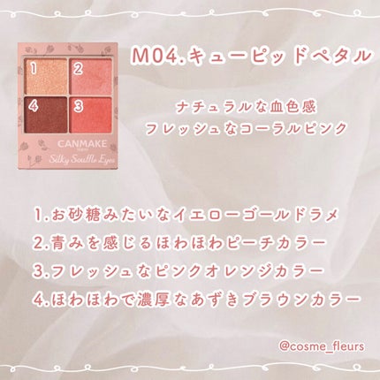 シルキースフレアイズ(マットタイプ)/キャンメイク/アイシャドウパレットを使ったクチコミ(4枚目)