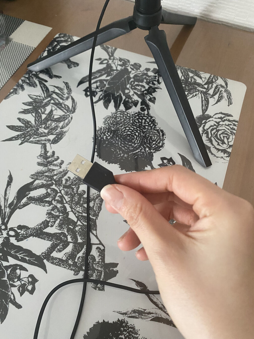 LED RING LIGHT 10inch/Peanuts Club/その他を使ったクチコミ（3枚目）