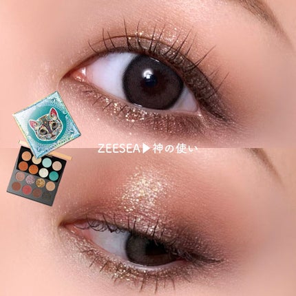 イメージ「マヤ」 アイシャドウパレット 01# 神の使い/ZEESEA/アイシャドウパレットを使ったクチコミ(1枚目)