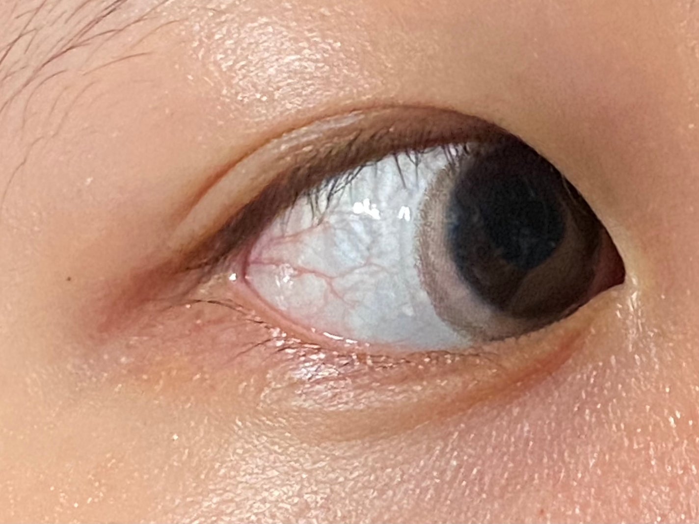 ワンマンス リフレア リル/Refrear/カラーコンタクトレンズを使ったクチコミ(4枚目)