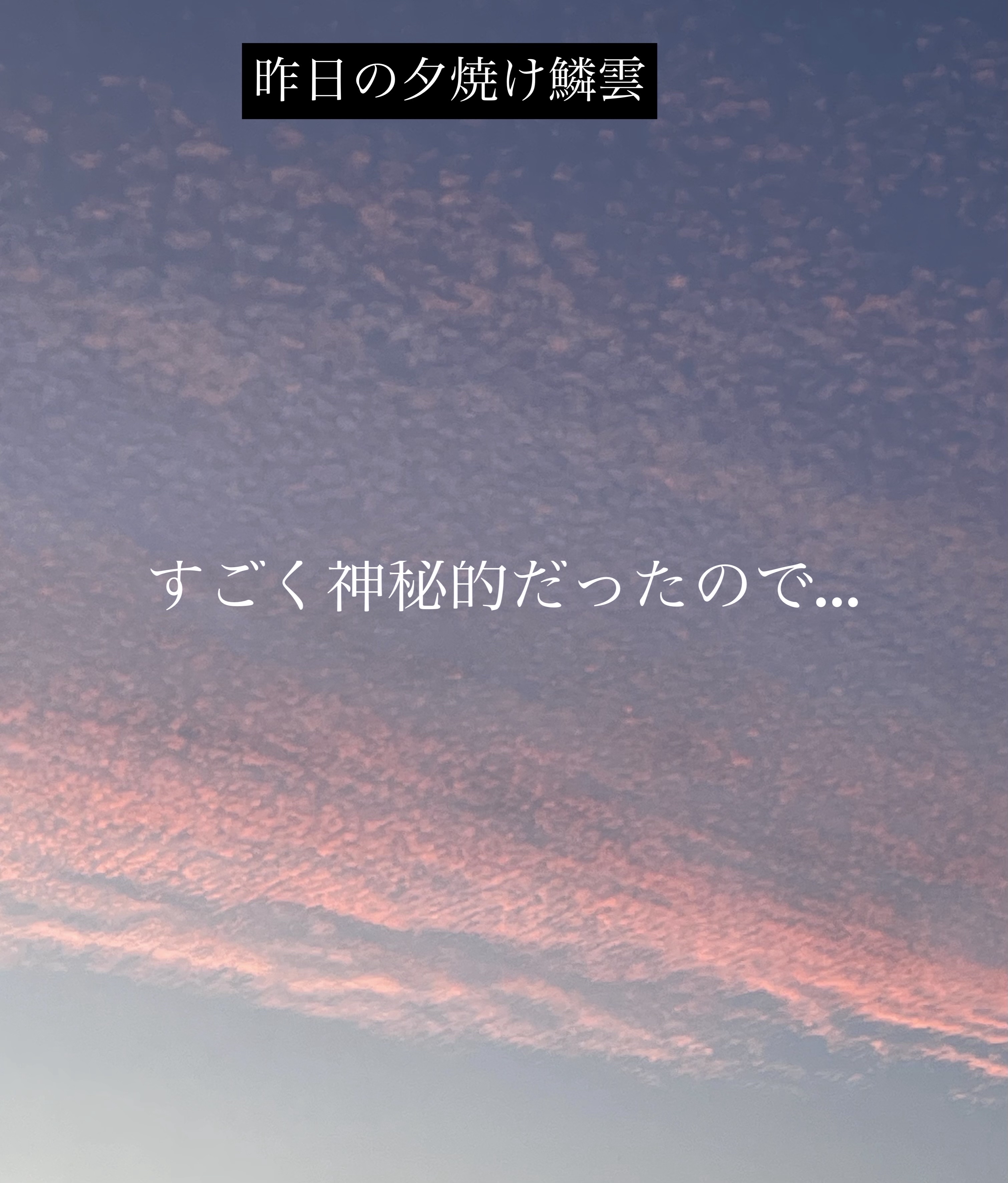 むちぷるティント/キャンメイク/リップティントを使ったクチコミ（2枚目）