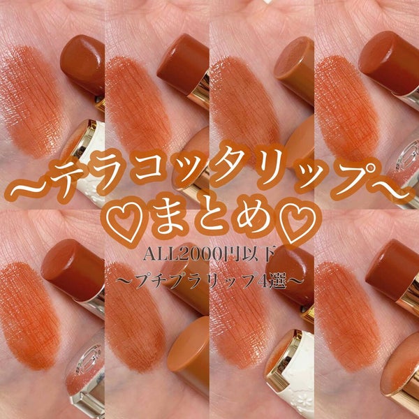 ラスティング リップカラーN/CEZANNE/口紅 by RIHO💄ブルベ冬夏のプロ