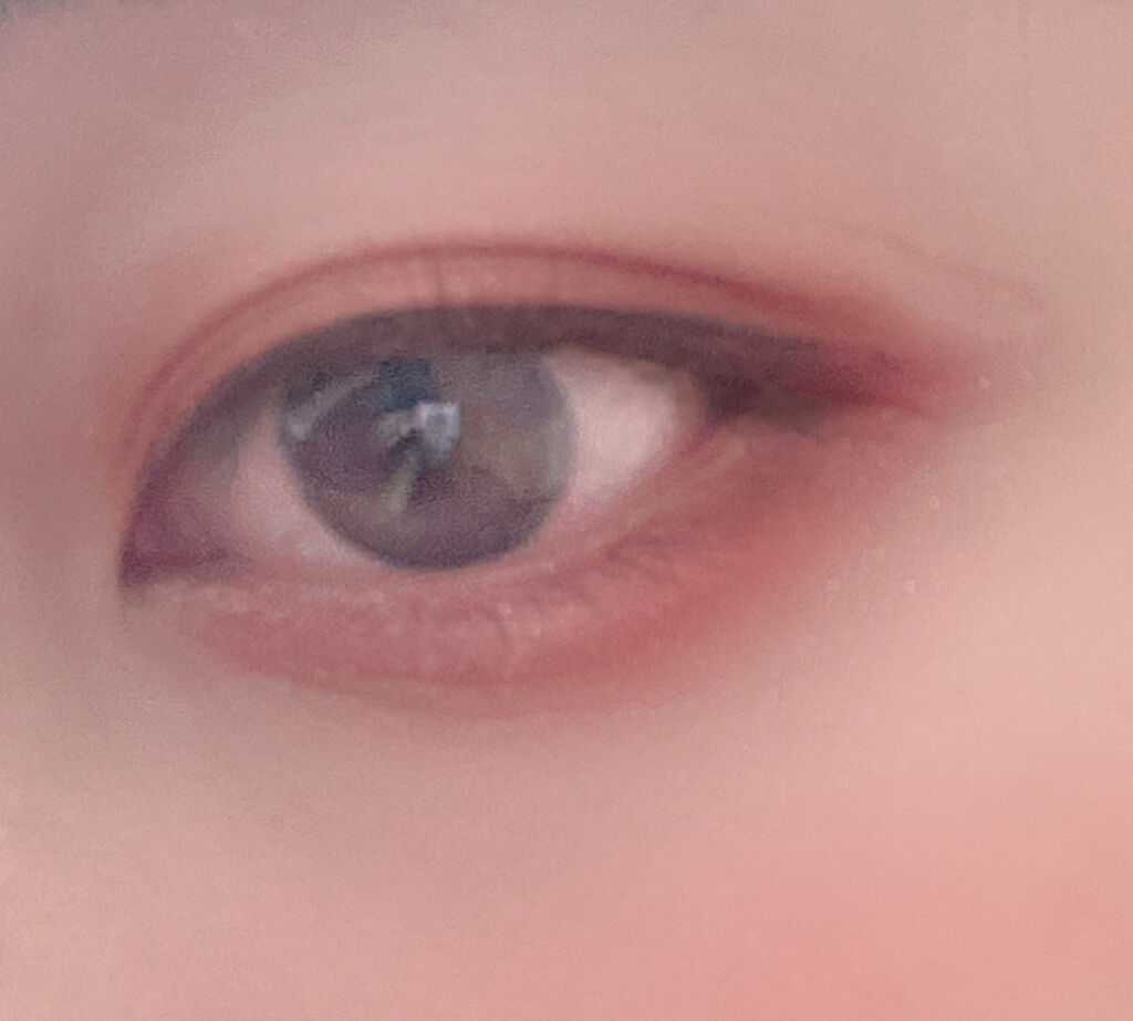 ユニコーンシリーズ アイシャドウパレット/FlowerKnows/アイシャドウパレットを使ったクチコミ（1枚目）