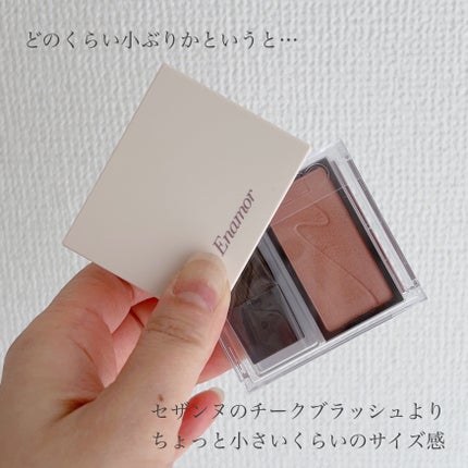 ニュアンスカラーアイズ/Enamor/アイシャドウパレットを使ったクチコミ(4枚目)