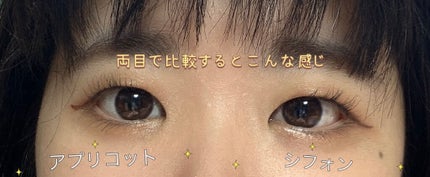 シルキーリキッドアイライナーWP/D-UP/リキッドアイライナーを使ったクチコミ(4枚目)