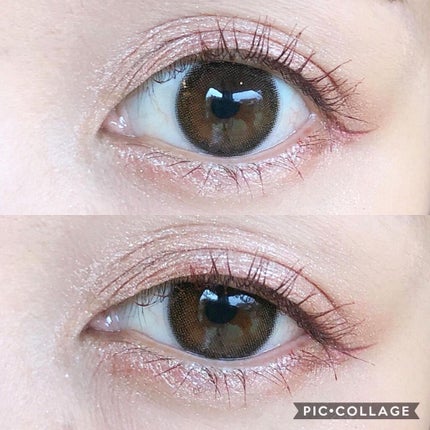 シャドウパレット/dasique/アイシャドウパレットを使ったクチコミ(2枚目)