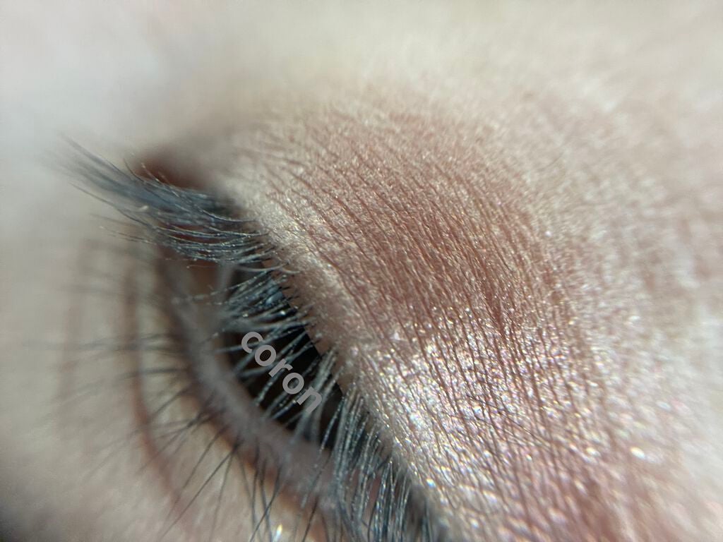 サンク クルール クチュール<バーズ オブ ア フェザー>/Dior/アイシャドウパレットを使ったクチコミ(2枚目)