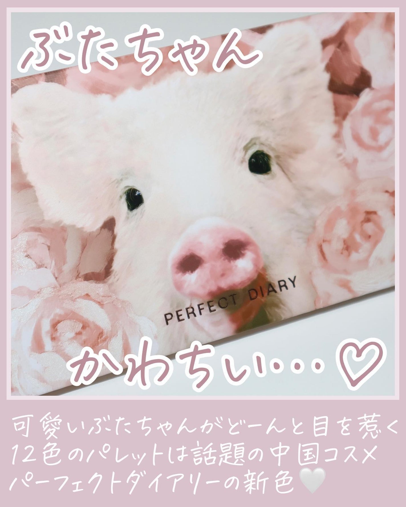 エクスプローラ12色 動物アイシャドウパレット/PERFECT DIARY/アイシャドウパレットを使ったクチコミ(2枚目)