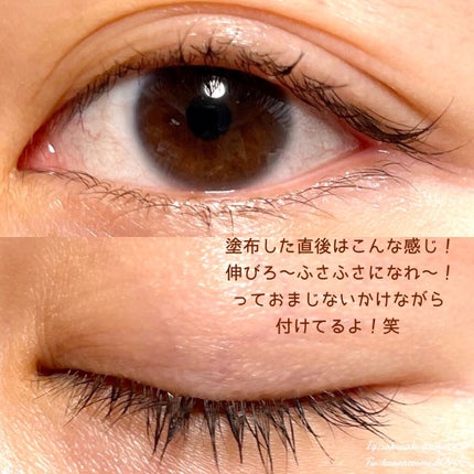 ラッシュジェリードロップ EX/MAJOLICA MAJORCA/まつげ美容液を使ったクチコミ(3枚目)
