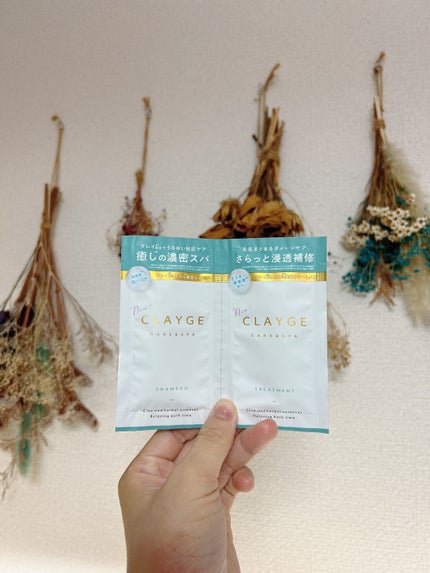 シャンプー/トリートメント SR/CLAYGE/市販シャンプーを使ったクチコミ(1枚目)