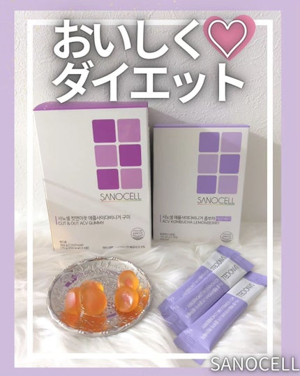 サノセル アップルサイダービネガーコンブチャ/SANOCELL/コンブチャを使ったクチコミ(1枚目)