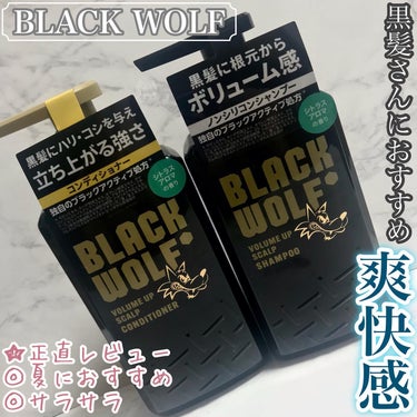 ブラックウルフ　ボリュームアップスカルプシャンプー/大正製薬/シャンプー・コンディショナーを使ったクチコミ（1枚目）