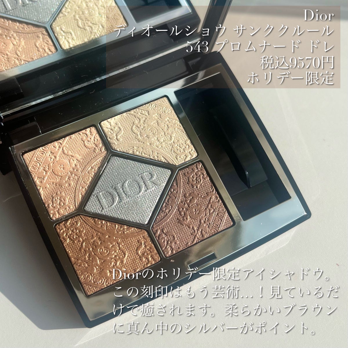 海外で買 Dior ディオールショウサンククルール 543
