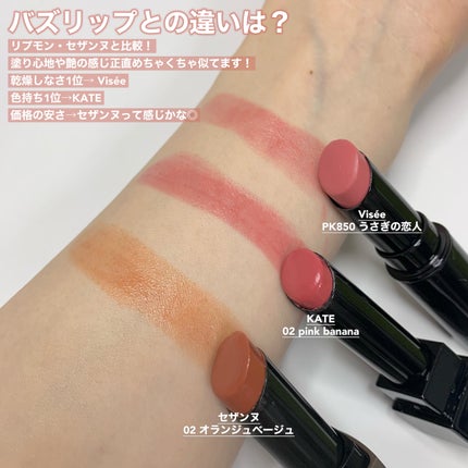 ネンマクフェイク ルージュ/Visée/口紅を使ったクチコミ(5枚目)