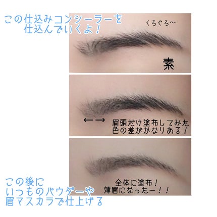 コンシーラーブロウマスカラ/キャンメイク/その他アイブロウを使ったクチコミ(3枚目)