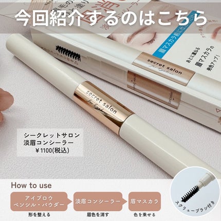 淡眉コンシーラー/シークレットサロン/眉マスカラを使ったクチコミ(2枚目)