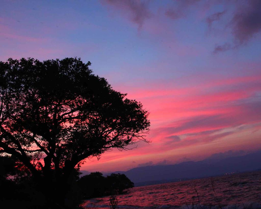 Cサスペンション23+HAスフィア2フェイスクリーム/The Ordinary/美容液を使ったクチコミ（2枚目）