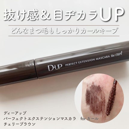 パーフェクトエクステンション マスカラ for カール/D-UP/マスカラを使ったクチコミ(1枚目)
