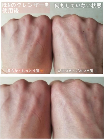 REN パーフェクト キャンバス ゼリー オイル クレンザー/REN(レン)/クレンジングジェルを使ったクチコミ(4枚目)