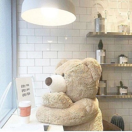 柳屋 あんず油/柳屋あんず油/ヘアオイルを使ったクチコミ(1枚目)