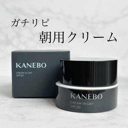 クリーム イン デイ/KANEBO/フェイスクリームを使ったクチコミ(1枚目)