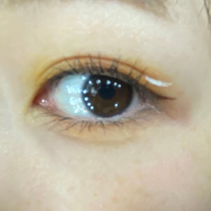 エクスプローラ12色 動物アイシャドウパレット/PERFECT DIARY/アイシャドウパレットを使ったクチコミ(1枚目)