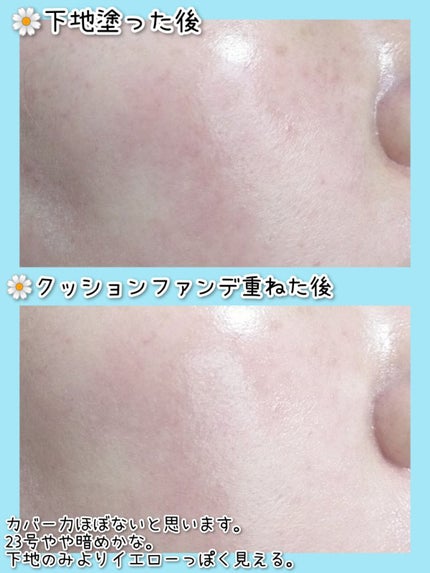 ベアウォータークッション/rom&nd/クッションファンデーションを使ったクチコミ(8枚目)