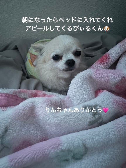 HC V5エッセンスマスク マイメロディ /SUIKO HATSUCURE/シートマスク・パックを使ったクチコミ(9枚目)