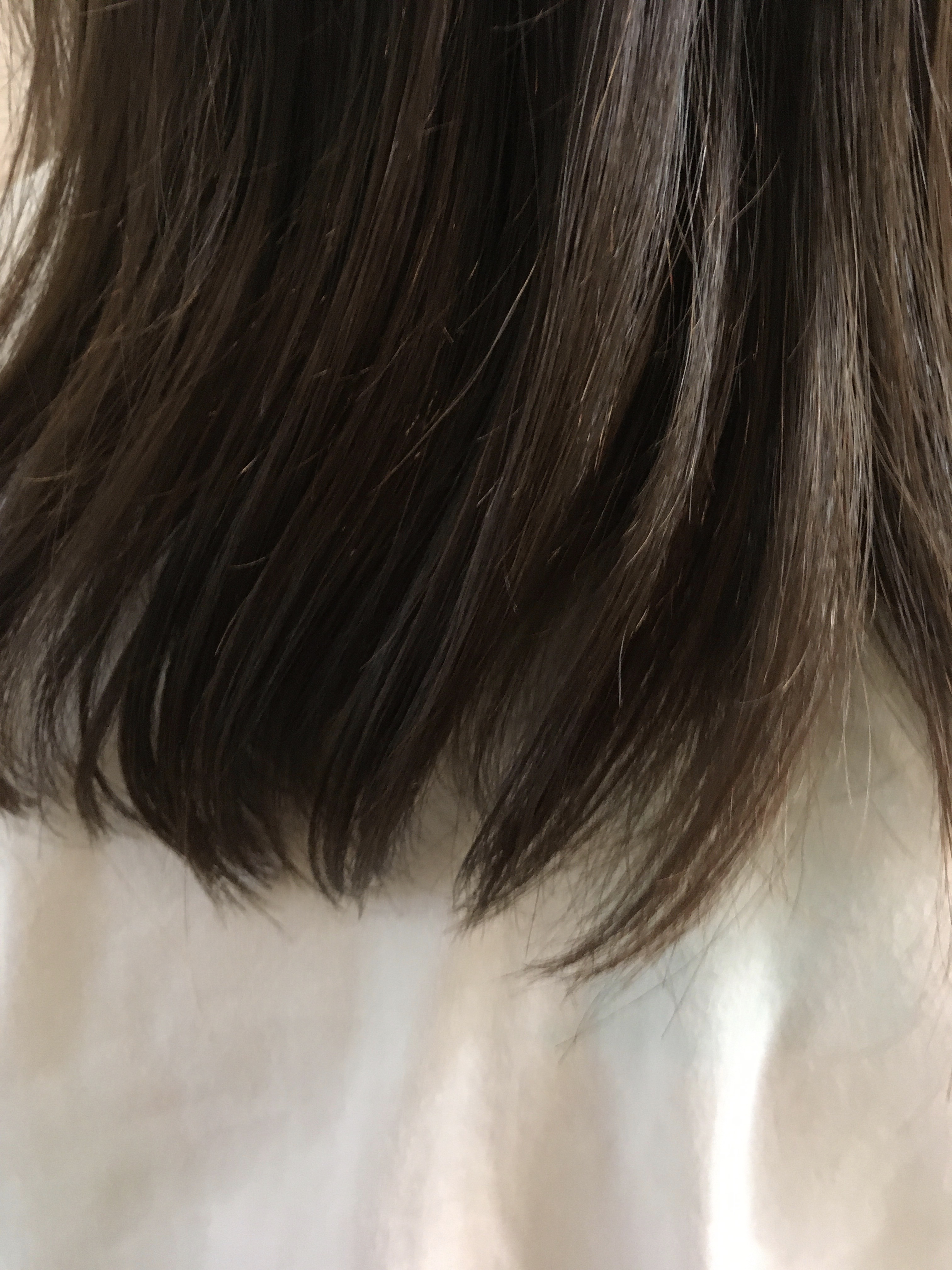 リッチグロス シャンプー シャイニー／ヘアトリートメント シャイニー/ハニーク/市販シャンプーを使ったクチコミ（1枚目）