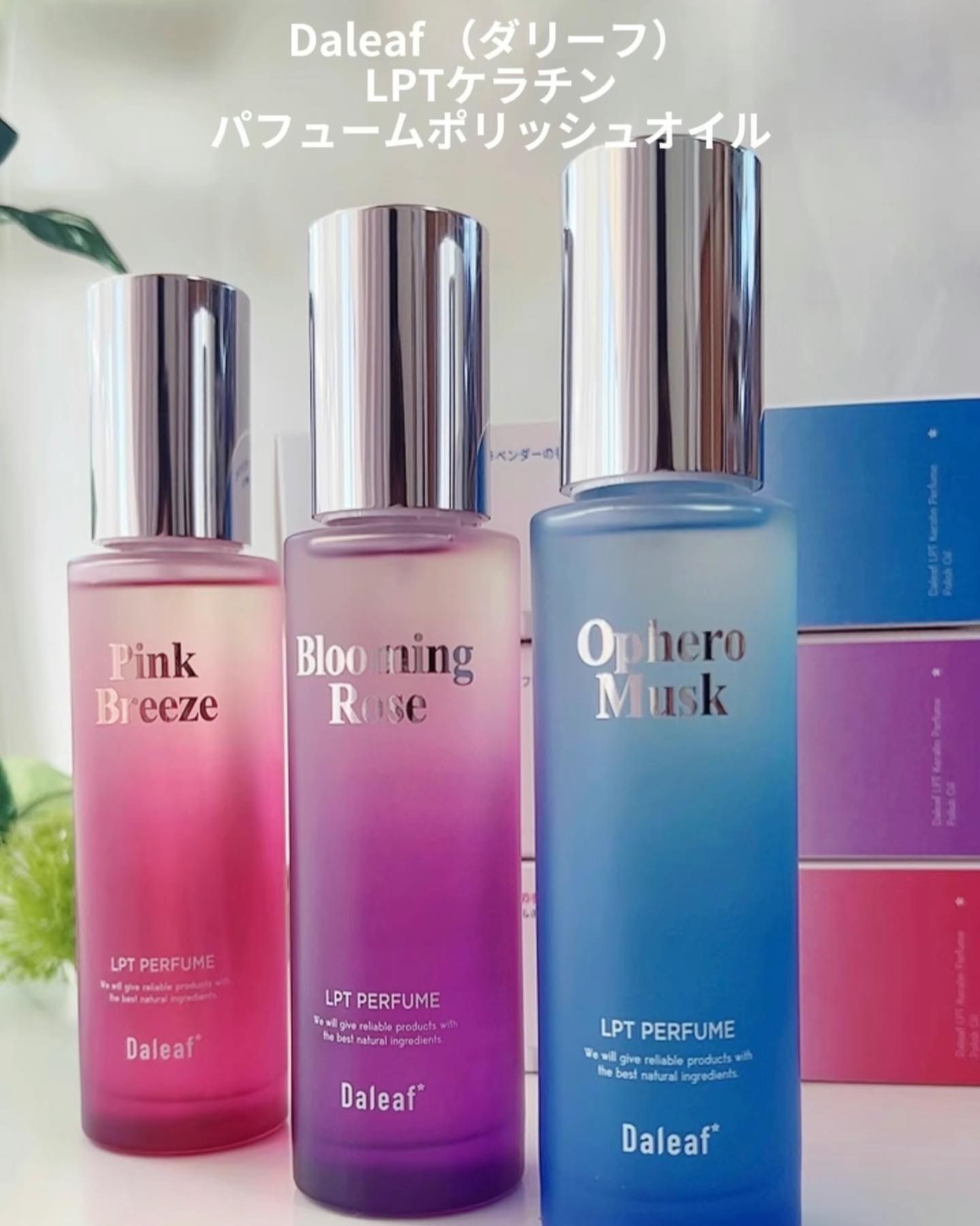 LPTケラチンパフュームポリッシュオイル/Daleaf/その他スタイリングを使ったクチコミ（2枚目）