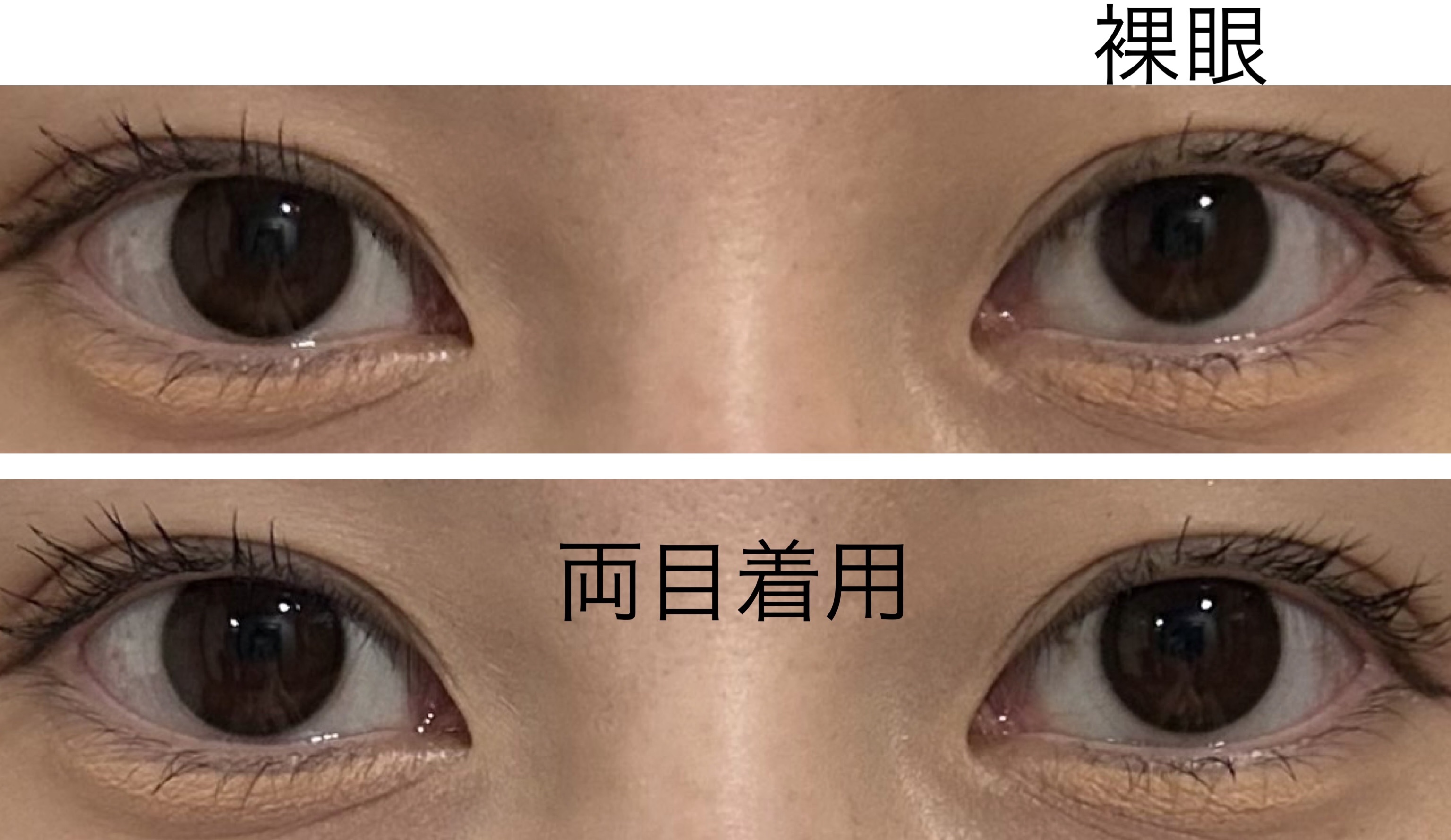 EDNA 1day/EDNA/ワンデー（１DAY）カラコンを使ったクチコミ（3枚目）