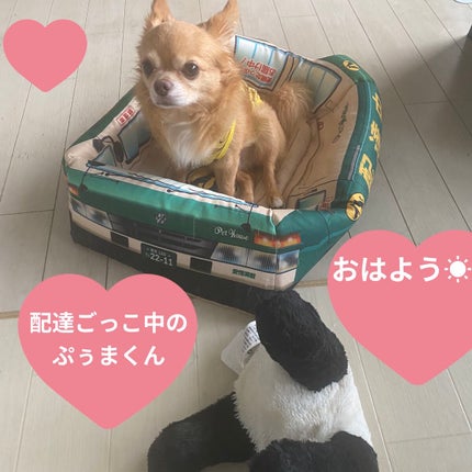 ジャドール パルファン ドー/Dior/香水(レディース)を使ったクチコミ(7枚目)