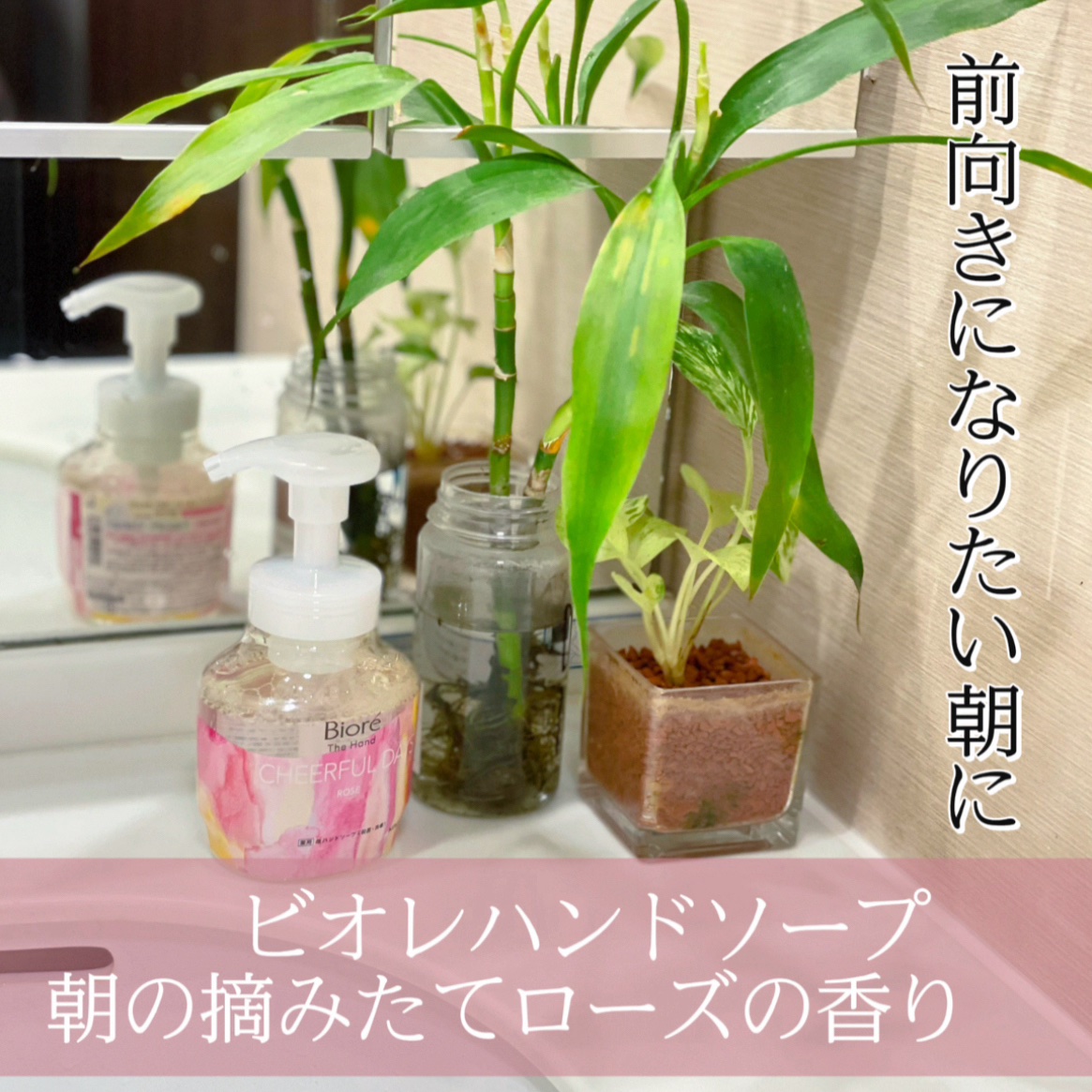 ビオレ ザ ハンド 泡ハンドソープ 朝の摘みたてローズの香り つめかえ用 340ml×24個 ビオレ ザ ハンド 泡ハンドソープ 朝の摘みたてローズの香り ポンプ