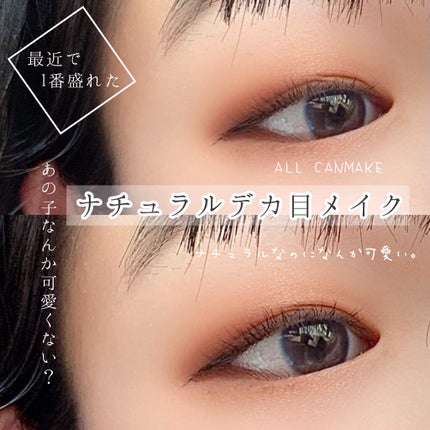 ラスティングリキッドライナー/キャンメイク/リキッドアイライナーを使ったクチコミ(1枚目)