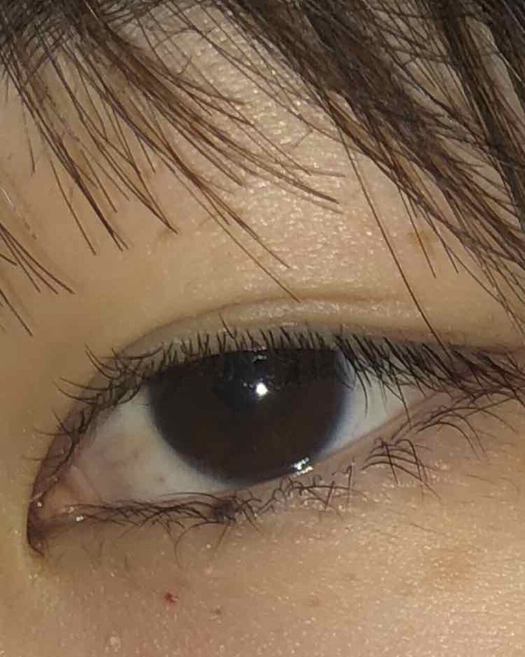 インク ブラック カラ/PERIPERA/マスカラを使ったクチコミ（3枚目）