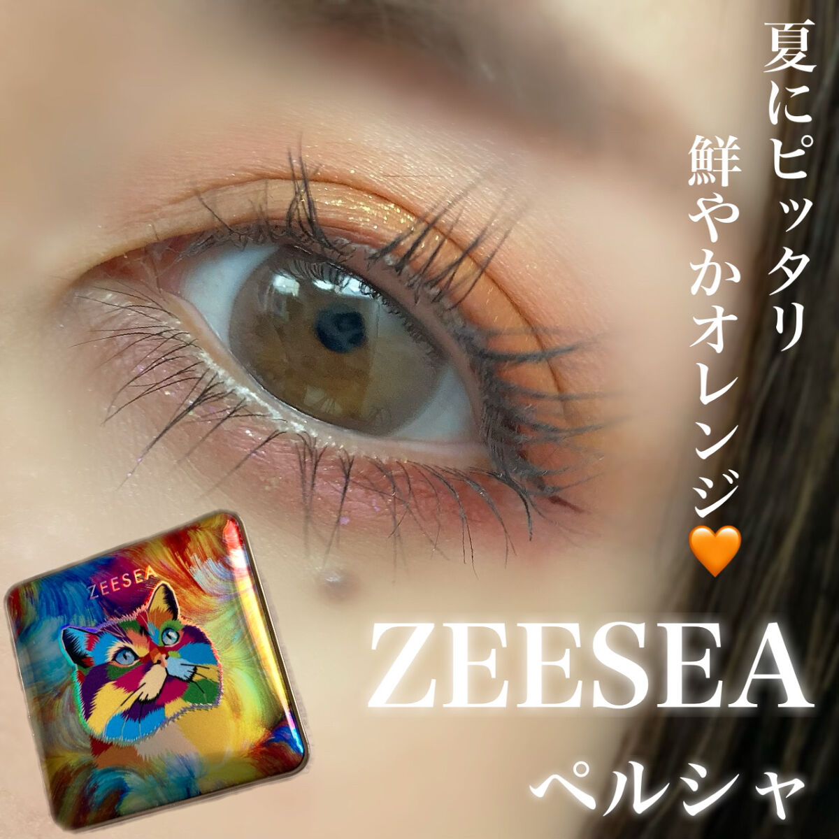 アニマルアイシャドウ(4シェード)/ZEESEA/アイシャドウパレットを使ったクチコミ（1枚目）