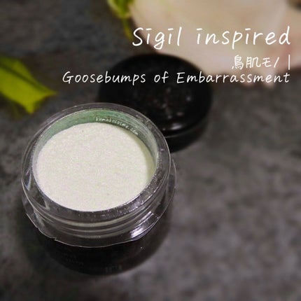 Sigil Inspired Magic Eyeshadows/SIGIL inspired/単色アイシャドウを使ったクチコミ(1枚目)