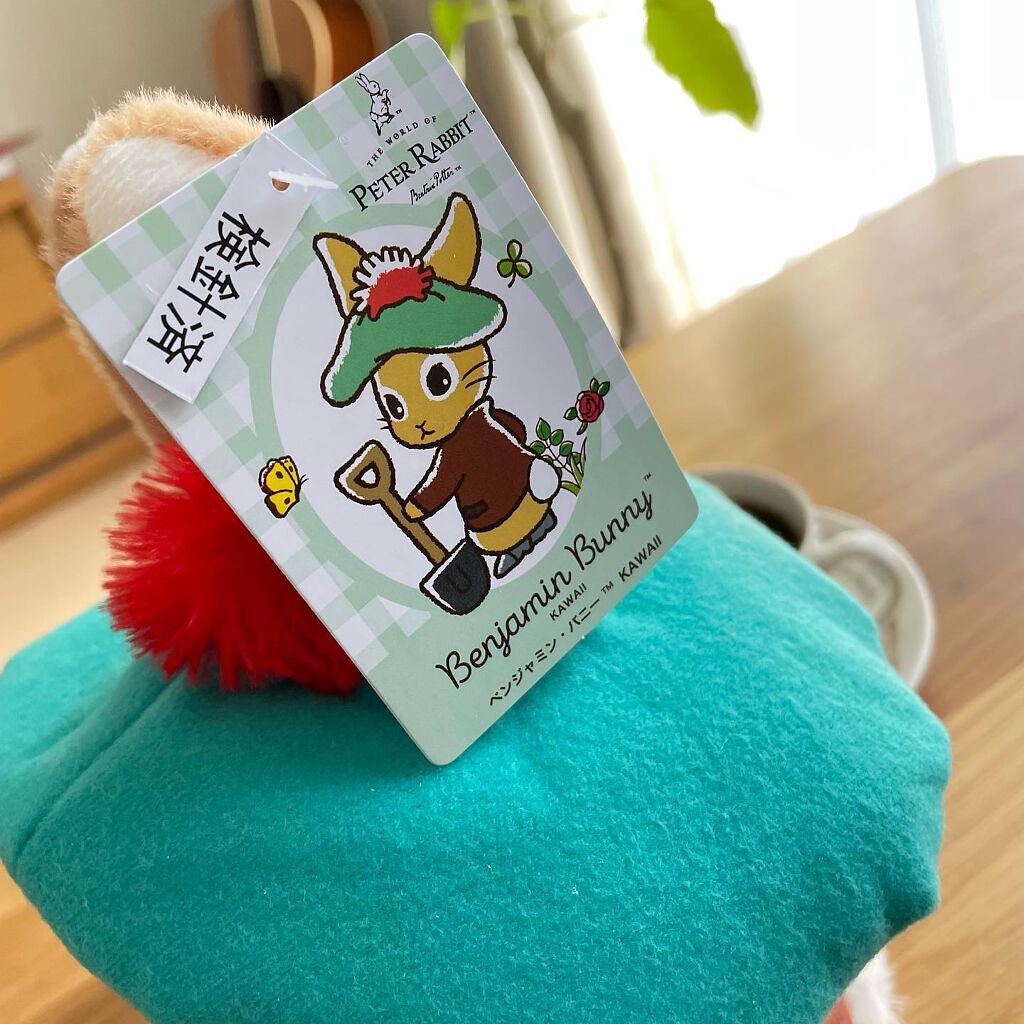 ピーターラビット ぬいぐるみ/DAISO/その他を使ったクチコミ(6枚目)