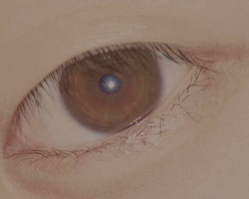 スキニーリッチシャドウ/excel/アイシャドウパレットを使ったクチコミ(2枚目)