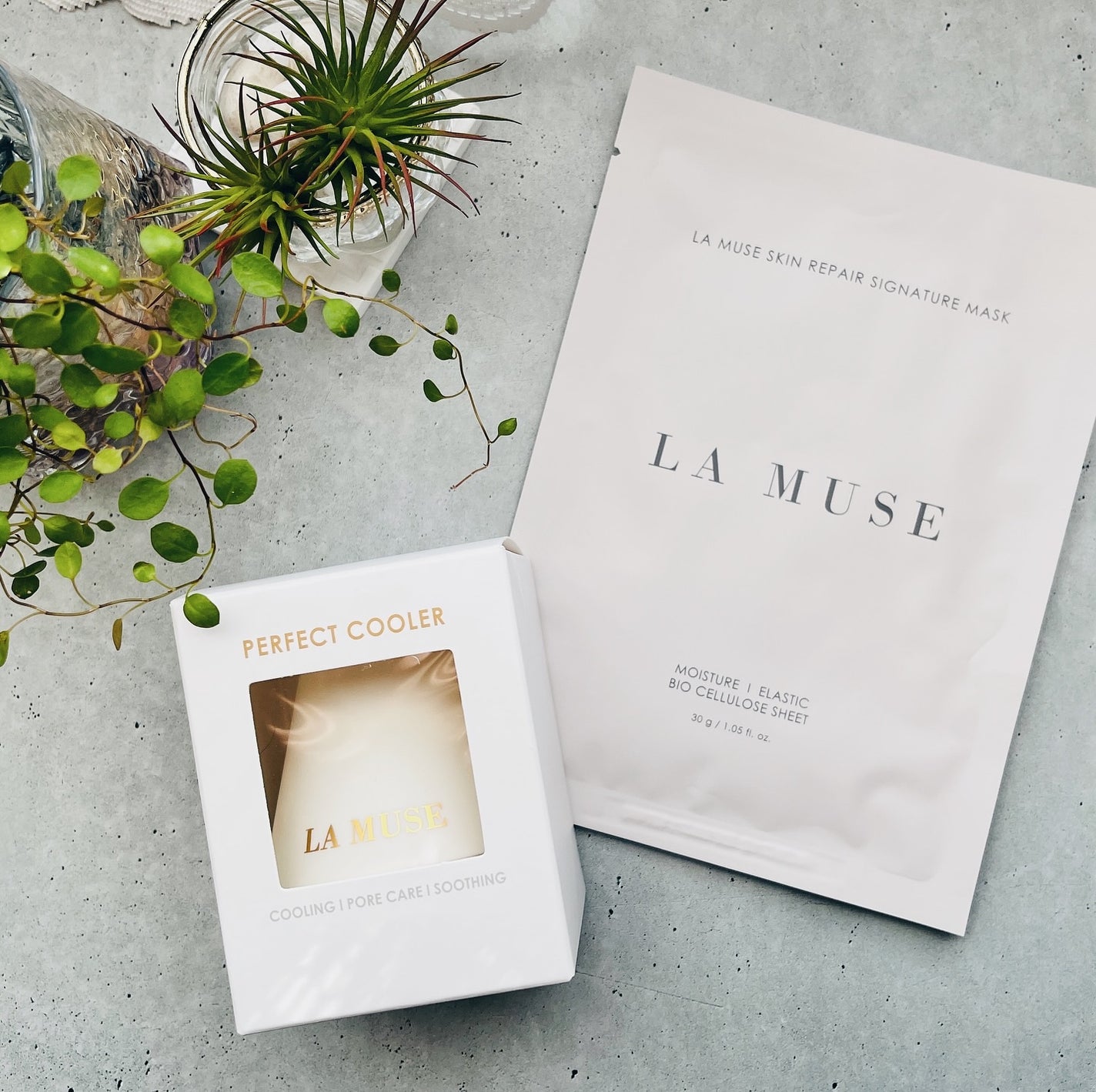 パーフェクトクーラー/ラミューズ/その他スキンケアグッズを使ったクチコミ(1枚目)