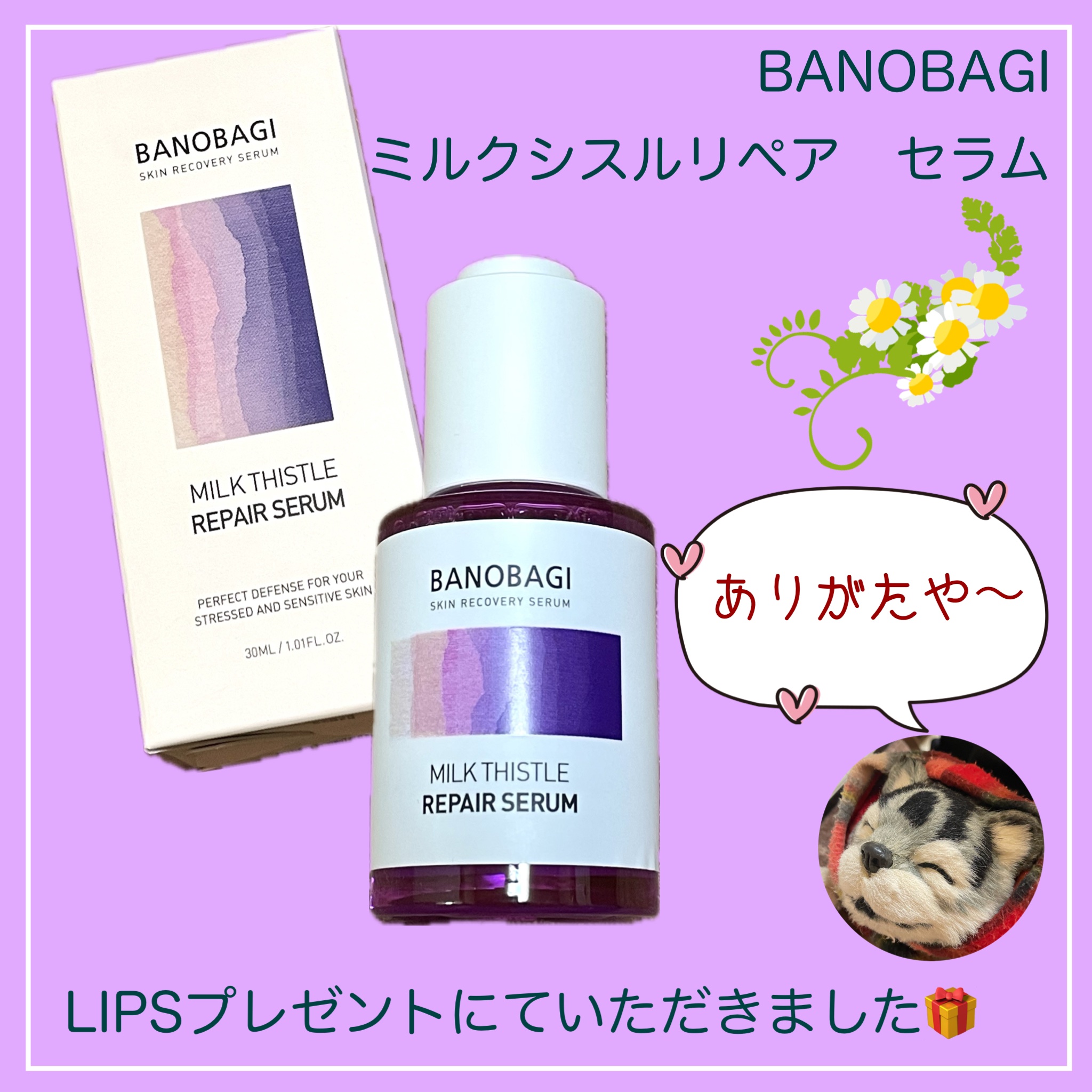 ミルクシスル リペアセラム/BANOBAGI/美容液を使ったクチコミ（2枚目）