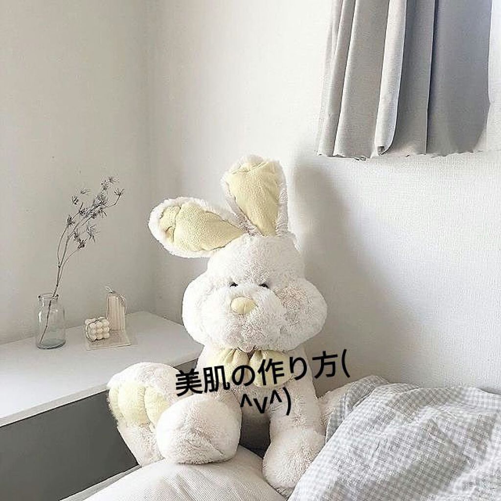 ハトムギ化粧水(ナチュリエ スキンコンディショナー R )/ナチュリエ/化粧水を使ったクチコミ(1枚目)