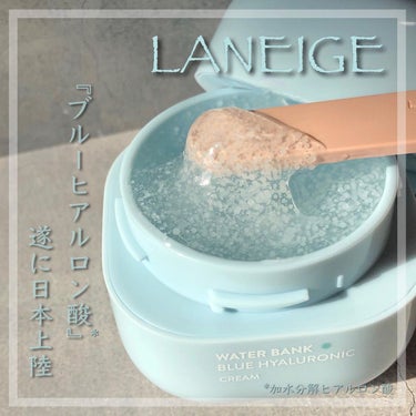 ウォーターバンク クリーム （混合肌・オイリー肌用）/LANEIGE/フェイスクリームを使ったクチコミ（1枚目）