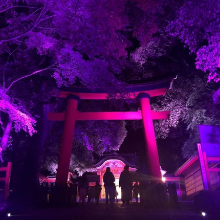 ネイルホリック/ネイルホリック/マニキュアを使ったクチコミ(4枚目)