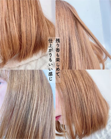 モイストアンドグロス シャンプー／トリートメント シャンプー/LOVEST by air Salon Quality Hair Care/シャンプー・コンディショナーの画像