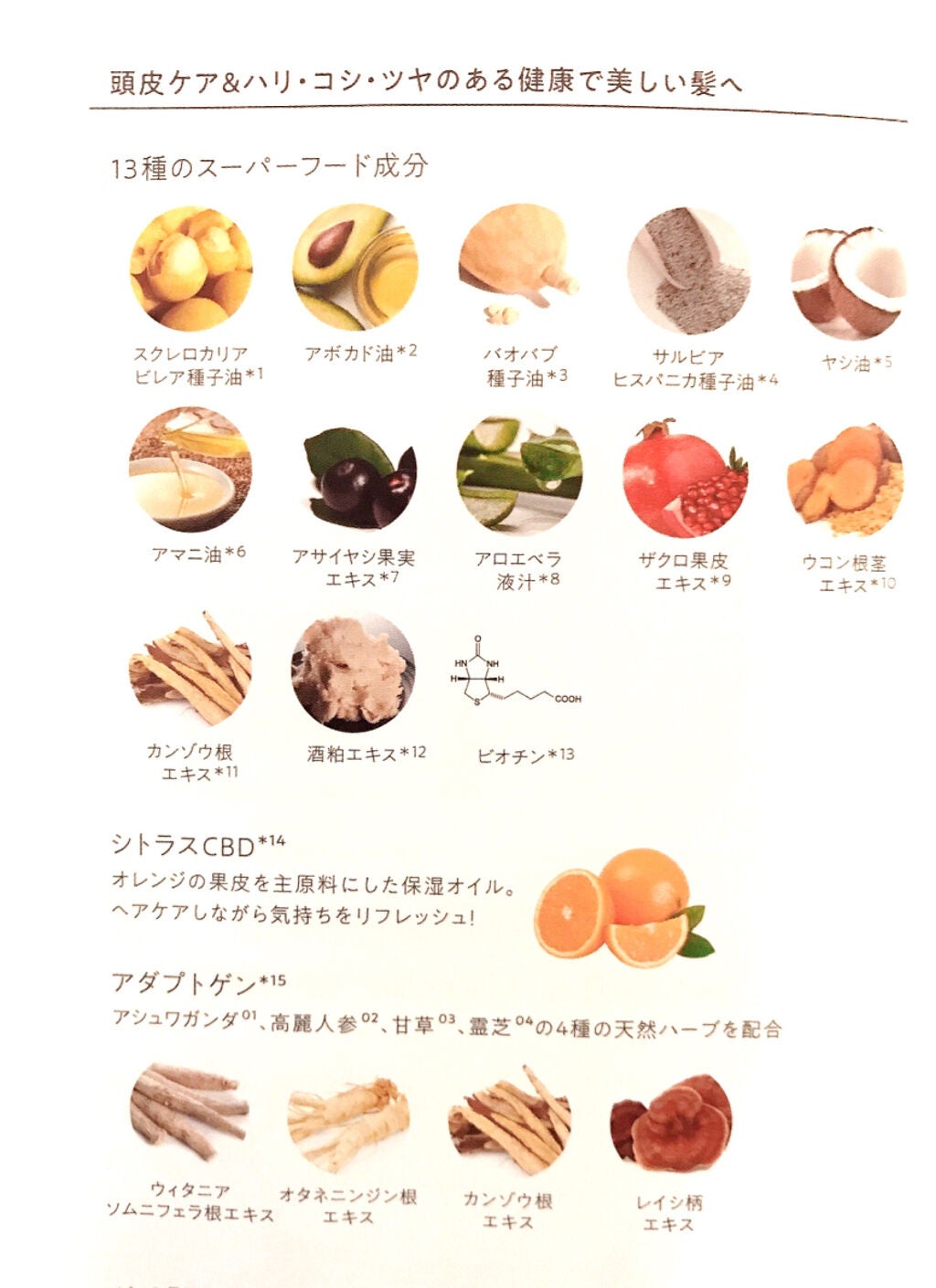 スーパーフードラボ オーガニックス シルキーリッチ シャンプー&トリートメント/SUPERFOOD LAB/市販シャンプーを使ったクチコミ(7枚目)