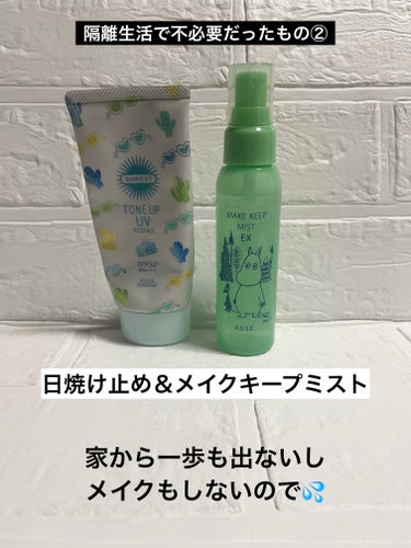 いち髪 ヘアキープ和草スティック（スーパーハード）のクチコミ「　　　　【隔離生活で不必要だった物】


　　　　　　　　すなわち


　　　　　【日常生活で.....」（3枚目）