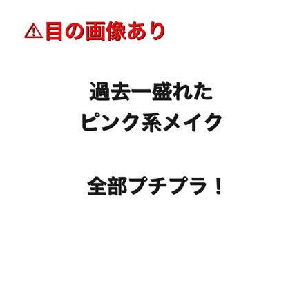 デュアルアイシャドウ N/excel/アイシャドウパレットを使ったクチコミ(1枚目)