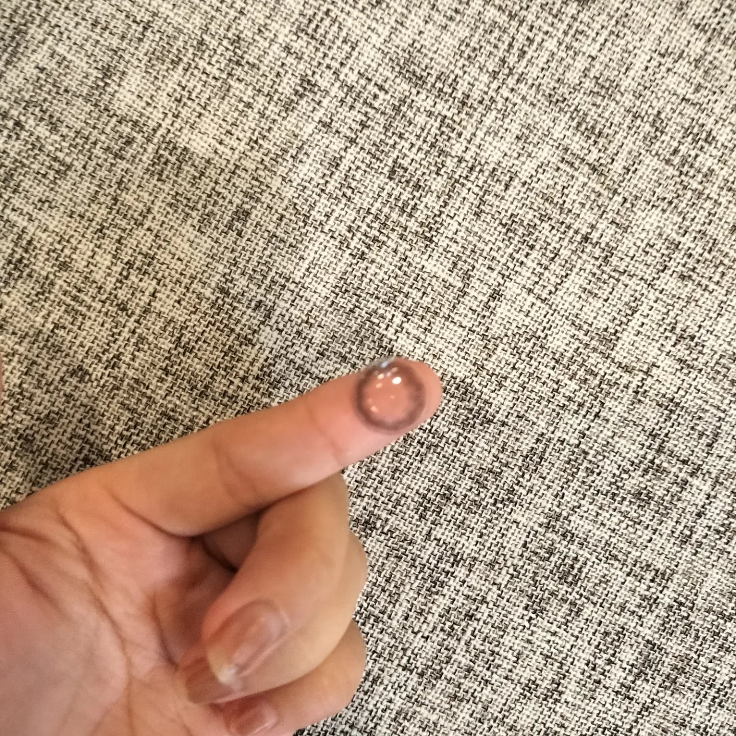 エバーカラーワンデーミリモア はじらいベイビー/エバーカラー/ワンデー（１DAY）カラコンを使ったクチコミ（3枚目）