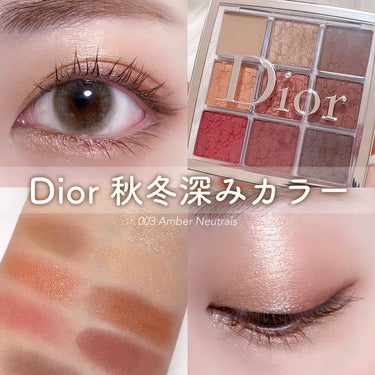 ディオール バックステージ アイ パレット 003 アンバー / Dior